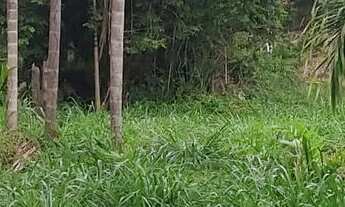 Imagem 4: Terreno para chácara em Juquiá