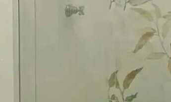 Imagem 7: Casa á venda com 3 quartos sendo 1 ssuíte no Jd. Nss. sra. Perpetuo Socorro em Campo Grand