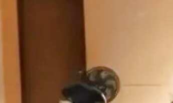 Imagem 3: Casa pra venda em Planaltina