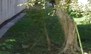 Imagem 5: TERRENO - SANTA TERESINHA - SP