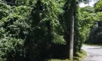 Imagem 2: AREA - DA LAGOA - SP