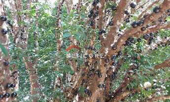 Imagem 4: Casa em Rua Francisco Sales - Goiânia - Belo Horizonte/MG