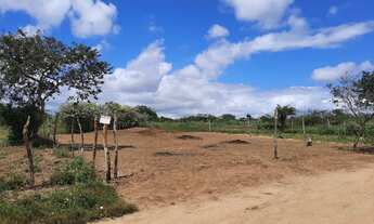 Imagem 2: 02 lotes em São José - Fazenda Ovo da Ema