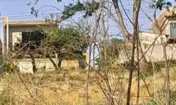 Imagem 2: Terreno jardim colina 1 monte mor