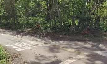 Imagem 4: Vendo ou Alugo Chácara com 5000 m² no Senador Canedo