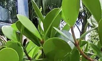 Imagem: Morada do Altíssimo