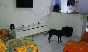 Imagem 4: Casa a venda Casa com 2 dormitórios