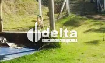 Imagem 6: Rancho disponível para venda no bairro Miranda 4 em Uberlândia-MG