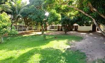 Imagem 5: Excelente chácara