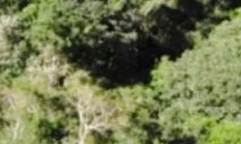 Imagem 2: Terrenos na cidade de Ibiúna - SP para moradia ou chalé