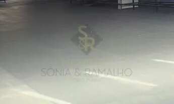 Imagem 2: Galpão Comercial para Locação no Bairro Independência, em Ribeirão Preto SP