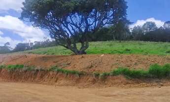 Imagem 5: Lote com vista para lago Terreno venda tem 500 metros quadrados em Lageadinho - Ibiúna - S