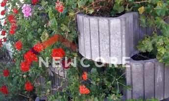 Imagem 2: Apartamento em Rua Tissot - Várzea Grande - Gramado/RS