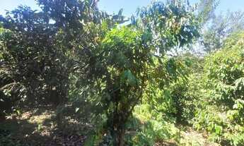 Imagem 3: Sítio em Limeira