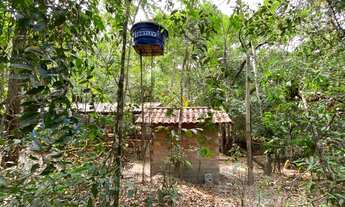 Imagem 5: Chácara de meio alqueire com rancho na beira do córrego em bela vista !