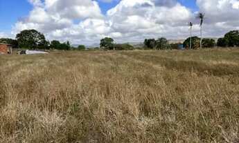 Imagem 5: Vende se sítio Chácara com venda por R$200.000