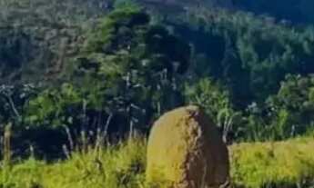 Imagem: 85T- LOTES COM ÁREA TRANQUILA E VALORIZADA