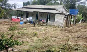 Imagem: Fazenda puranga