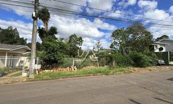 Imagem: TERRENO NO BAIRRO MAGGI EM PASSO FUNDO RS