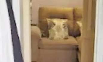 Imagem 7: APARTAMENTO - ORTIZES - SP