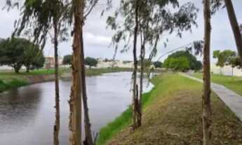 Imagem 4: Busca Vida concept 2/4