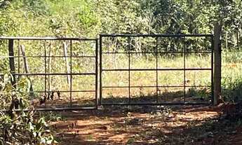 Imagem 6: Chácara Chácara com venda por R$35.000