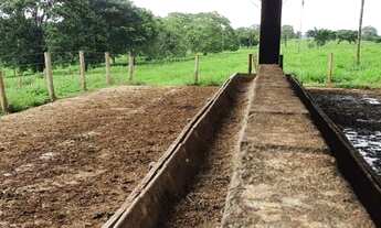 Imagem: Chácara de 4.75 Alqueires em Bela Vista