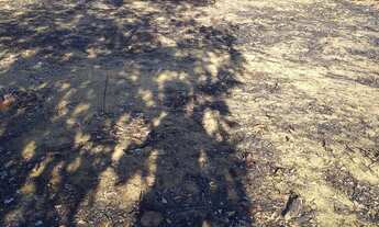 Imagem 2: Imóvel Terreno / lote com venda por R$25.000