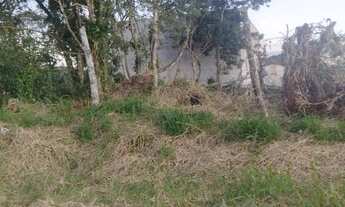 Imagem 7: Terrenos em Guaratuba