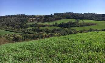 Imagem 4: Sítio em Campo do Tenente-PR, com 28 alqueires