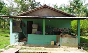 Imagem: Sítio criatório suínos