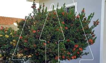 Imagem: Araçatuba - Casa - Planalto