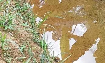 Imagem 3: VENDO CHACARA Chácara com venda por R$70.000