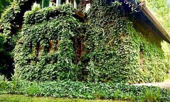 Imagem 2: Fazenda/Sítio/Chácara para venda tem 150 metros quadrados com 3 quartos