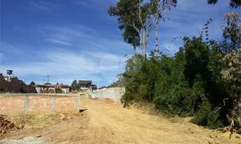 Imagem 6: Terreno Campo Magro , Jardim Bairro Boa Vista II