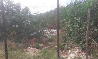 Imagem 2: IBIRITé - Terreno Padrão - Palmeiras