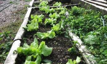 Imagem 2: Florianópolis - Casa Padrão - CAMPECHE