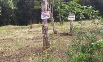 Imagem 4: Terreno de chácara com 1.000 m², analisa proposta! Litoral sul