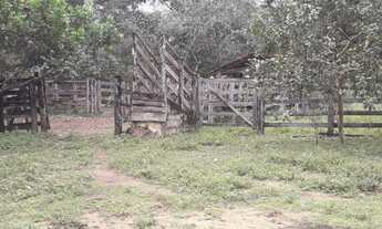 Imagem 4: VENDO SITIO Chácara com venda por R$350.000