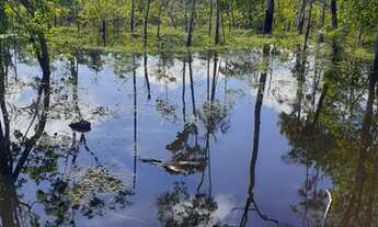 Imagem 5: Terreno top no Janauari c/fundo para o lago à venda. 27.000m² de área (90x300). Analiso pr
