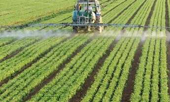 Imagem 5: MM - Fazenda Cultura Mista