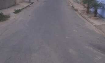 Imagem 6: IBIRITé - Terreno Padrão - Palmeiras