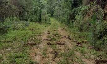 Imagem 3: Área 326.000 m² - 3 nascentes e 2 rios - Fuja da Cidade