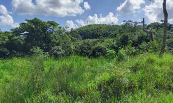 Imagem 5: Fazenda 18 hectares várias nascentes ideal para pousada linda vista