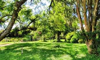 Imagem 6: Casa com 4 dormitórios à venda, 405 m² por R$ 4.000.000 - Centro - Nova Petrópolis/RS