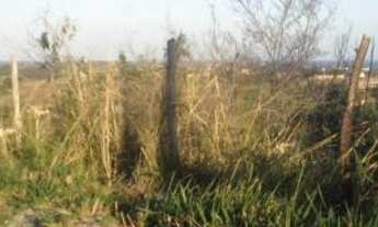 Imagem 5: Terreno no bairro Jacaroá - Maricá