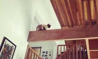 Imagem 6: Fazenda/Sítio/Chácara para aluguel e venda tem 300 metros quadrados com 2 quartos