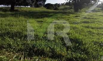 Imagem 3: 40 Alqueires em Burito Alegre GO