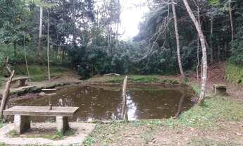 Imagem 6: Fazenda/Sítio/Chácara para venda tem 8000 metros quadrados com 5 quartos