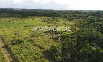 Imagem 5: Fazenda no Pará - Tailândia - 503 ha (170 alq